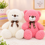 Lovely Teddy Plush