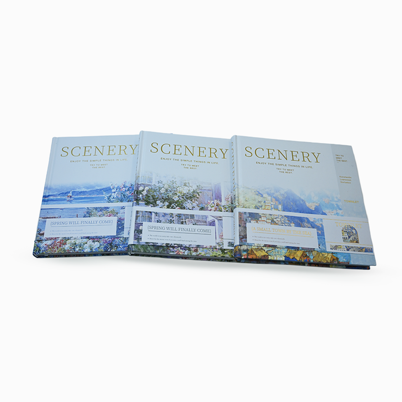SceneryScript Journals