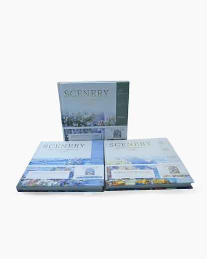 SceneryScript Journals