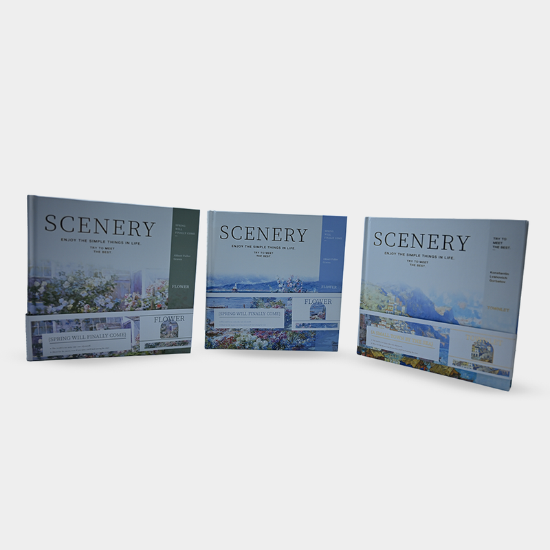 SceneryScript Journals