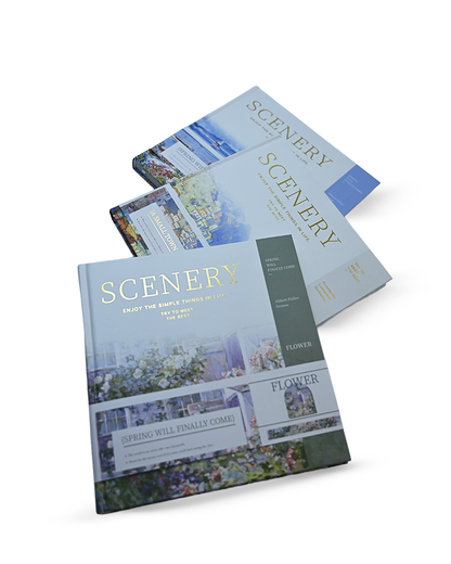 SceneryScript Journals