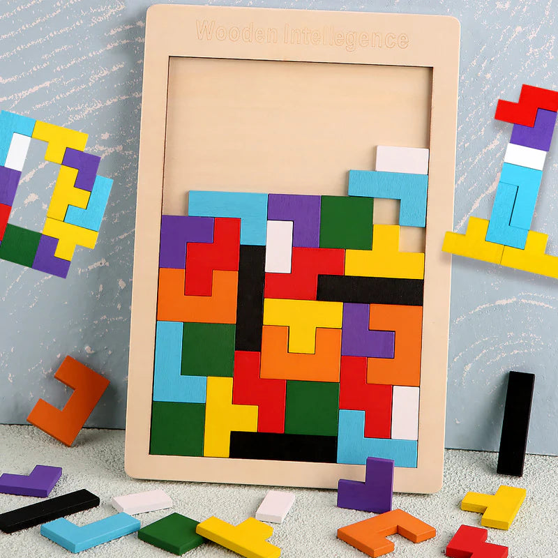 Wooden Intelligence Puzzle