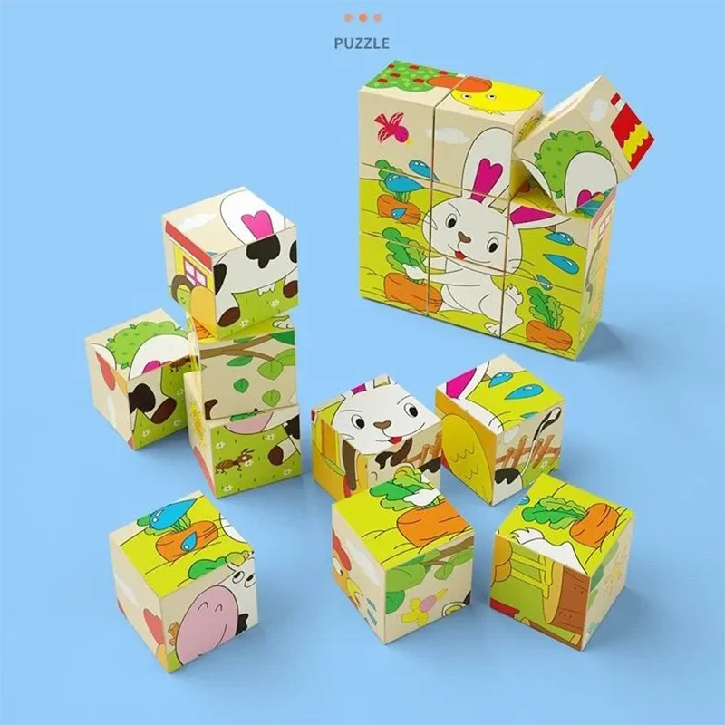 Wooden Picture Puzzle Blocks
