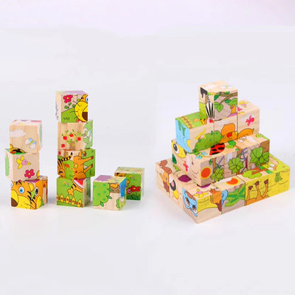 Wooden Picture Puzzle Blocks